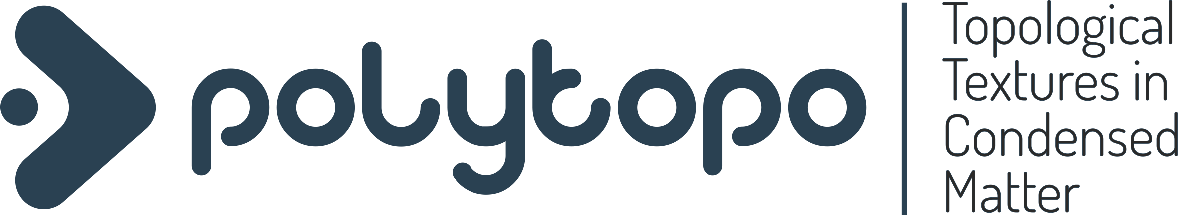 Polytopo COST action